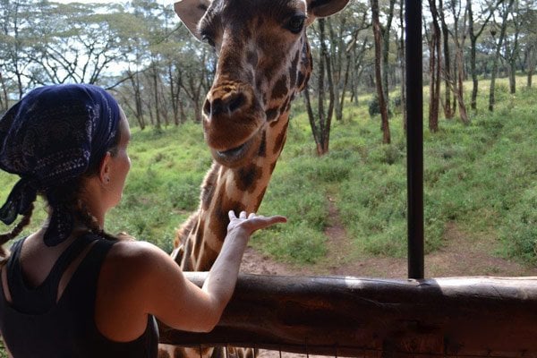 Lauren getting up close and personal with a giraffe