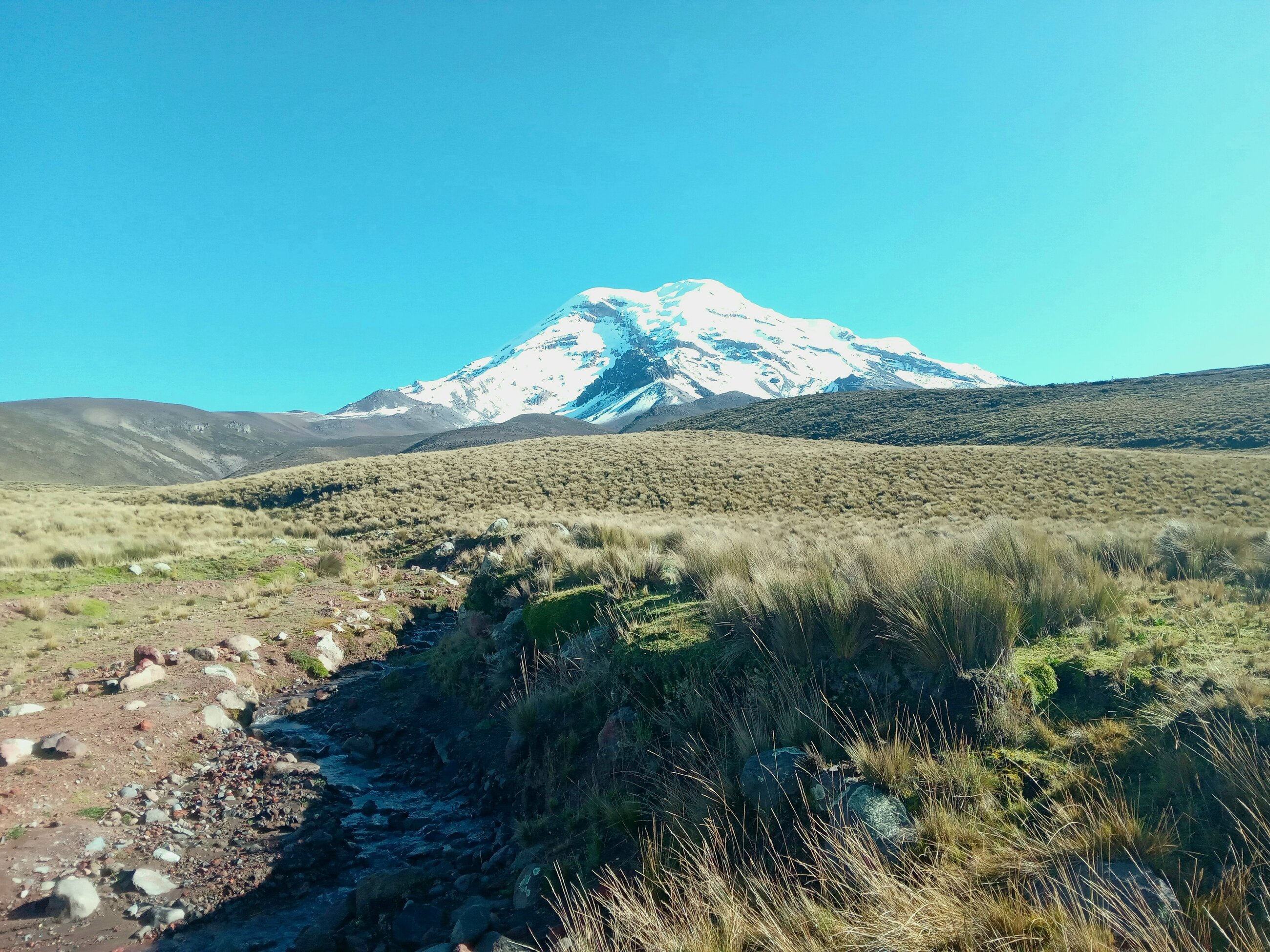 Volcán Chimborazo taken from the páramo