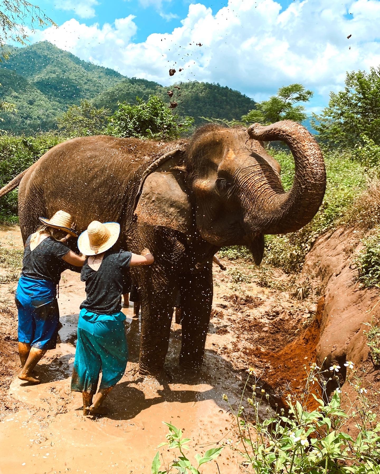 Mudding with the elephants 