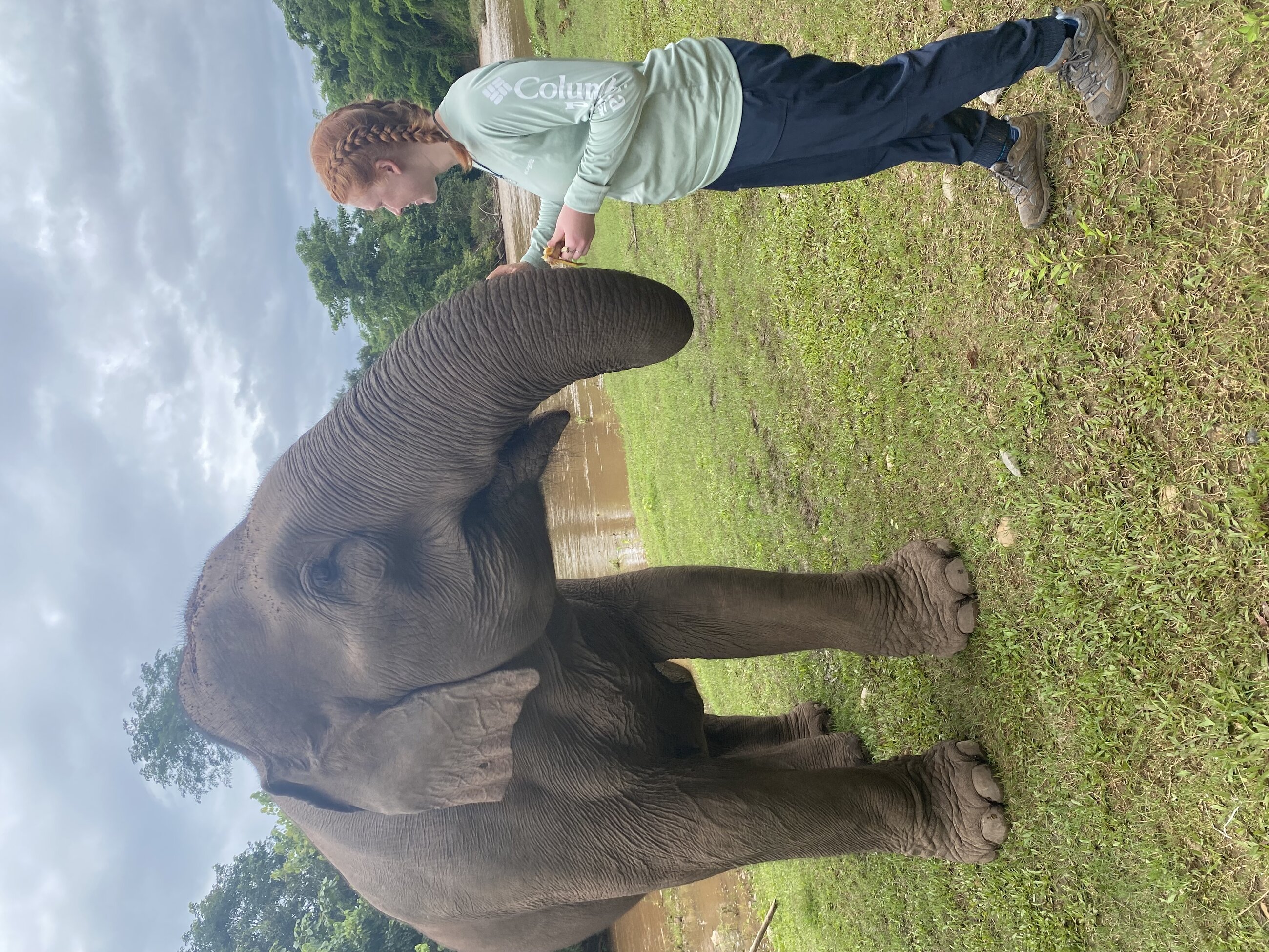 One of my favorite parts was spending time with elephants in the jungle!