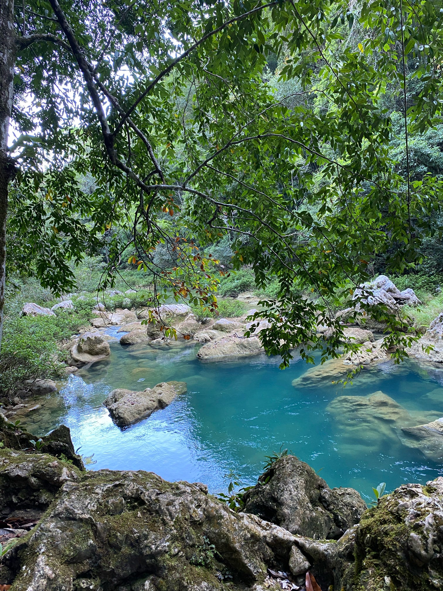 Black Creek Cave! Beautiful scenery 