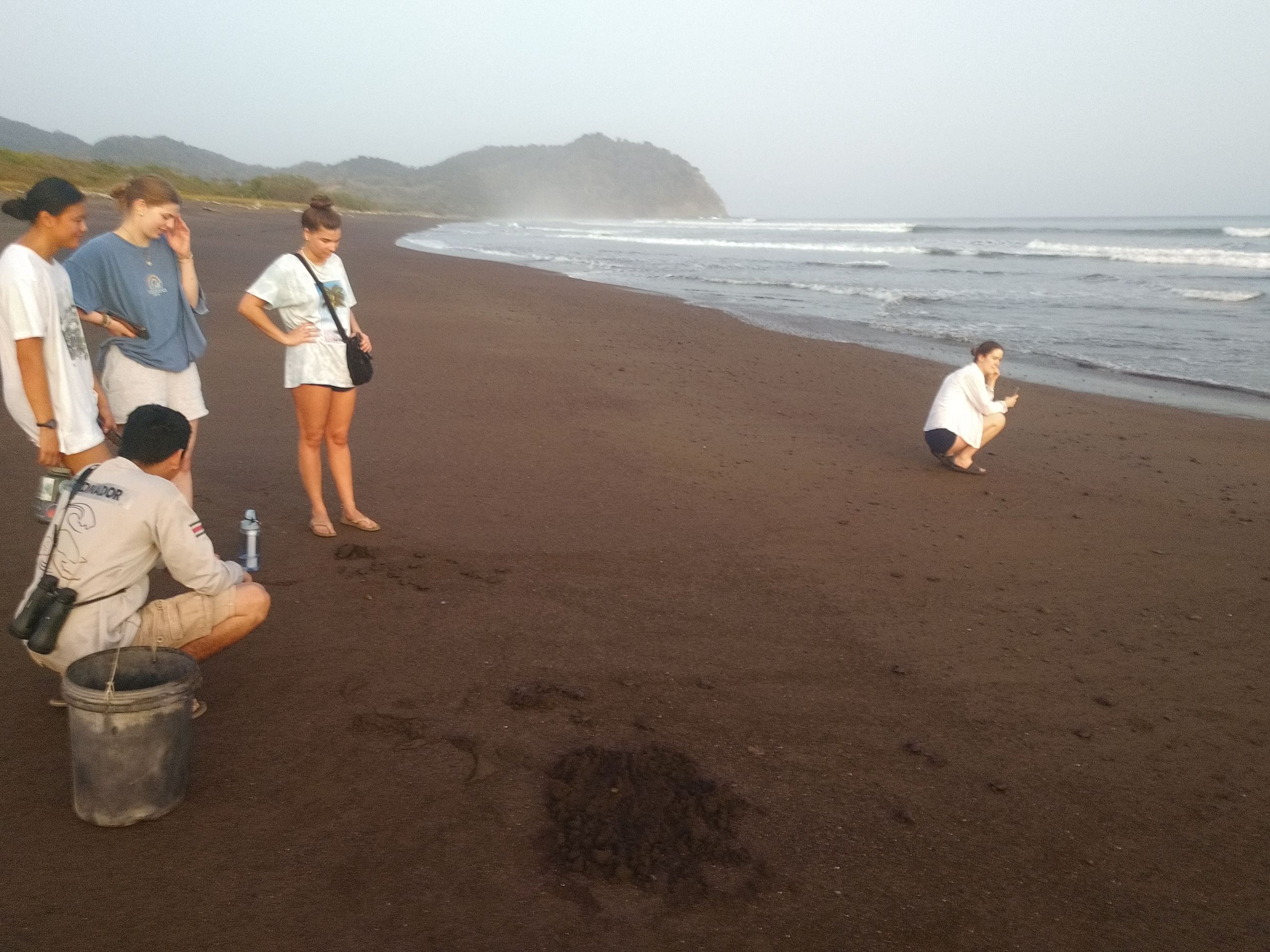 Turtle release Camaronal Costa Rica 