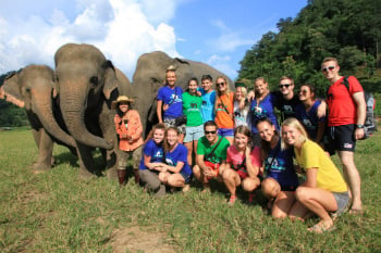 volunteers and elephants