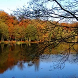 Autumn Colors on the Lake