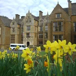 Spring Daffodils at Wroxton