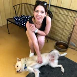 Volunteering at a dog shelter in Japan