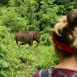 Heading into the jungle to meet the elephants