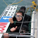 Shark Cage Diving