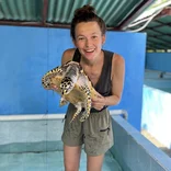 Sea Turtle Conservation Volunteer in Bali