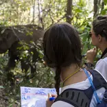 Volunteers and elephants