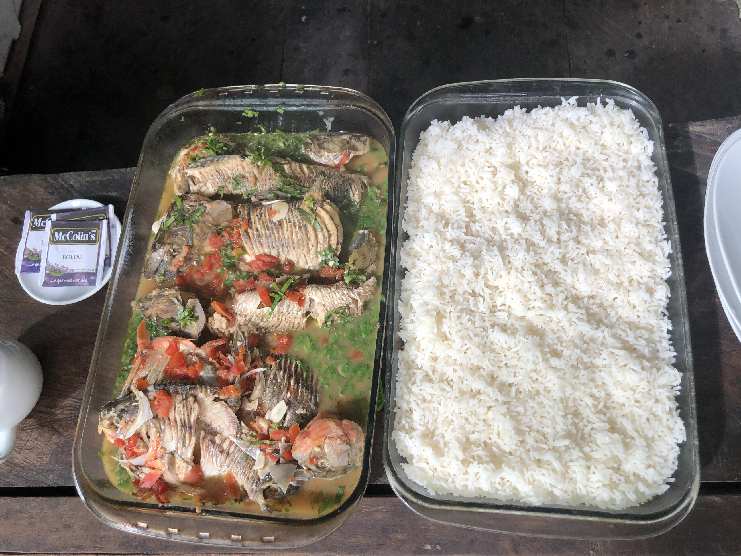 One of the many delisious meals with fresh fish from the amazon river we had. 