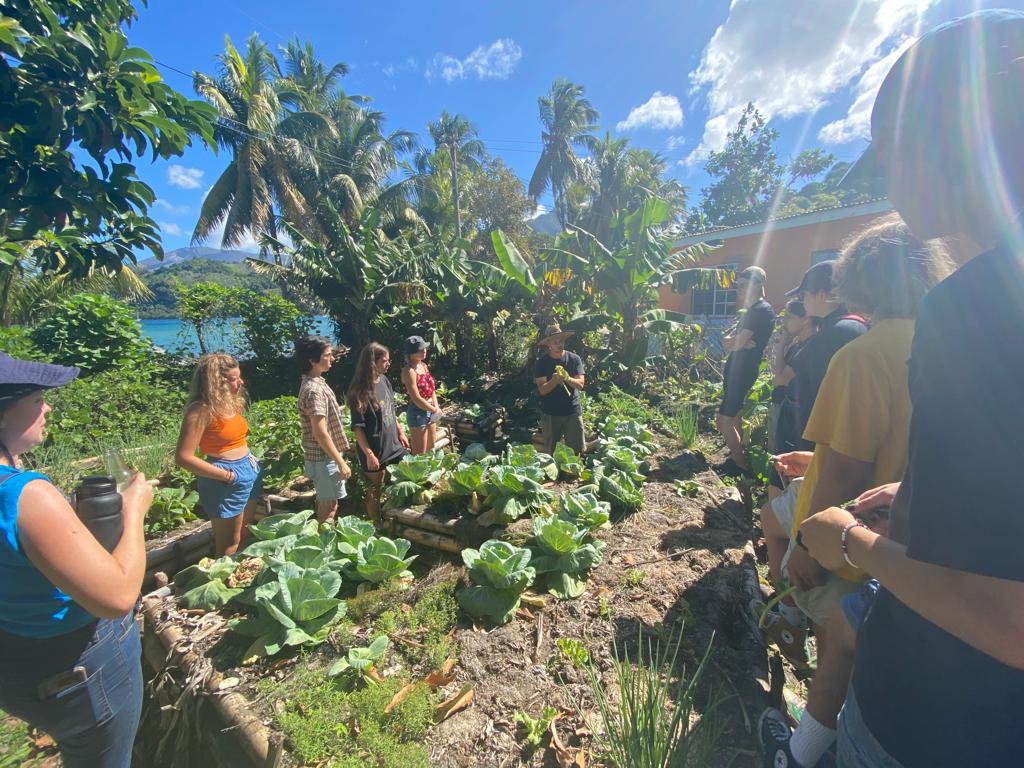 Learning about Permaculture