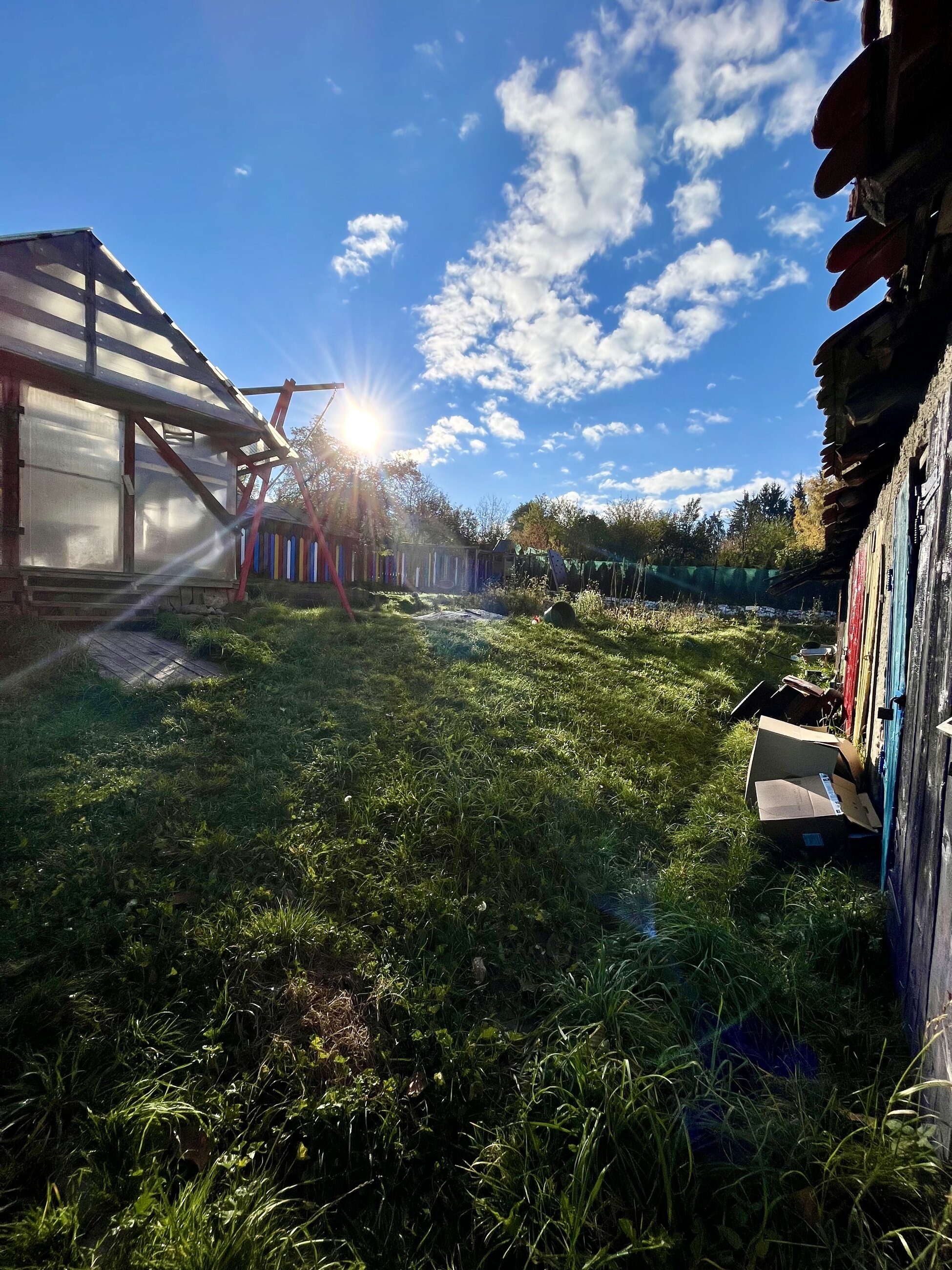 Community garden in RO