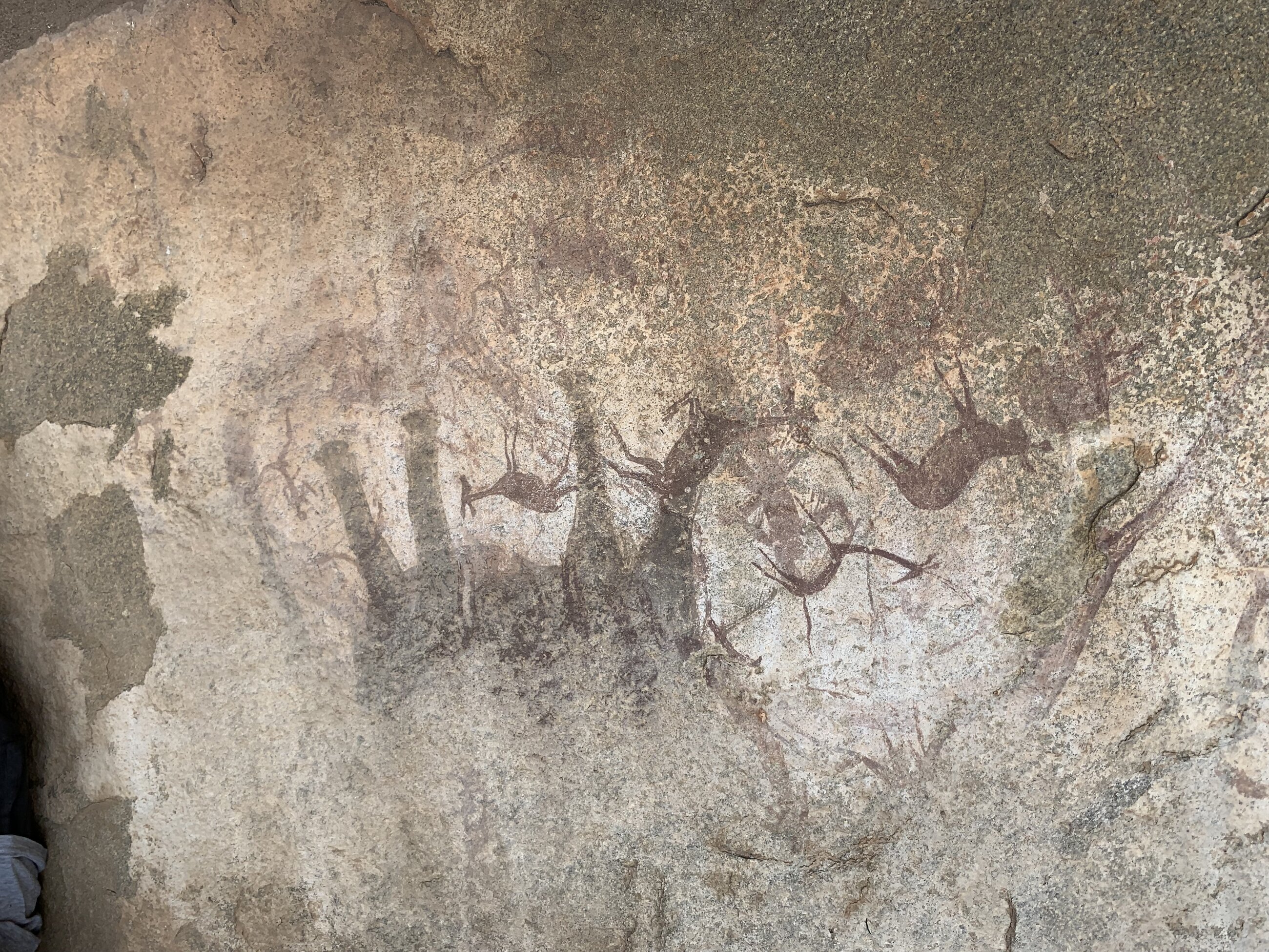 Incredible cave paintings