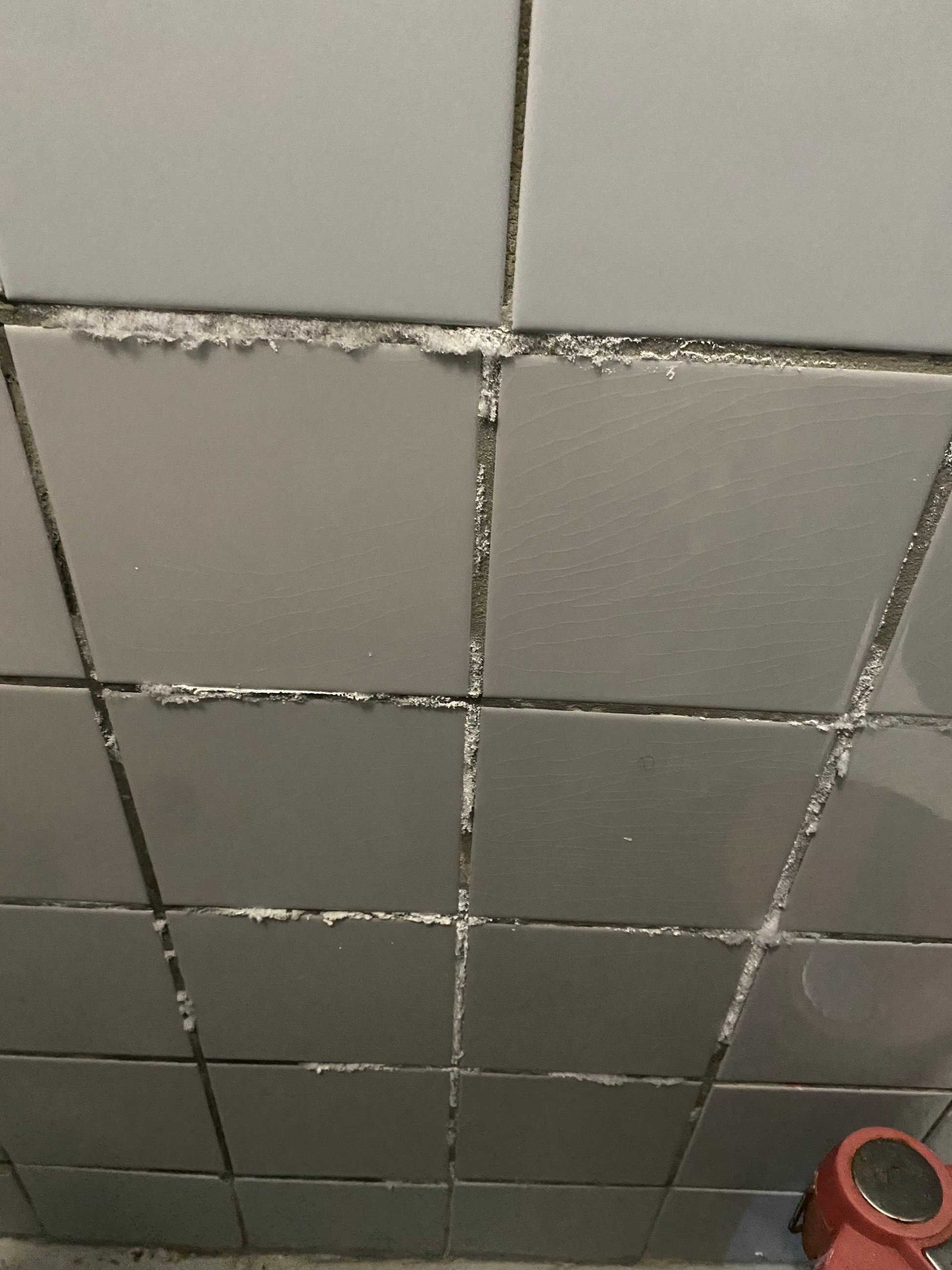 mold in the bathrooms