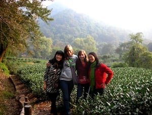 CIEE teachers in the Chinese tea fields