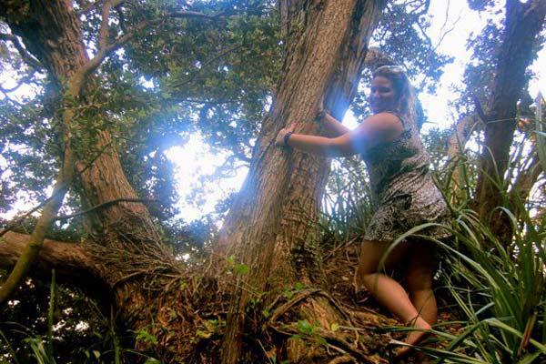 Kelley climbing a tree in New Zealand