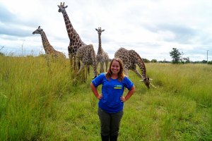 Getting up close with some of Imire's giraffes.