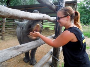 Lindsey feeding Imire's famous rhino Tatenda.