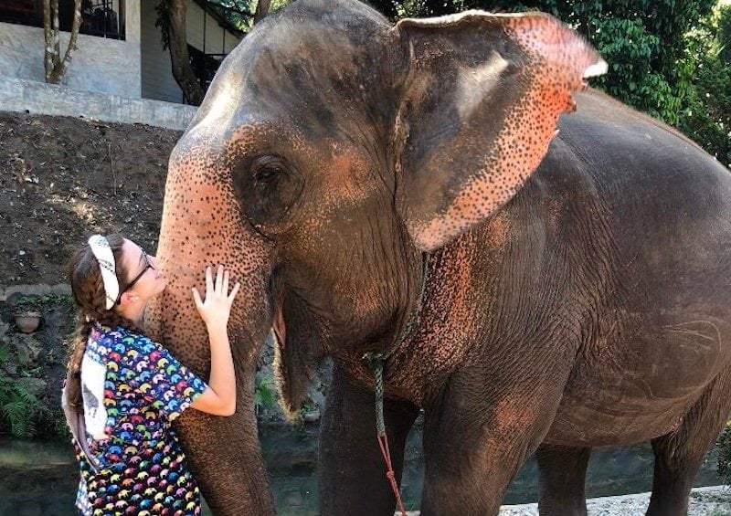 The 8 Best Countries for Volunteering with Elephants | Go Overseas