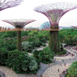 singapore tourist attraction