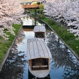 boats floating by