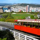 TEAN: Massey University, Wellington, New Zealand