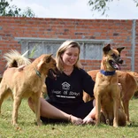 Volunteer at the rescue shelter