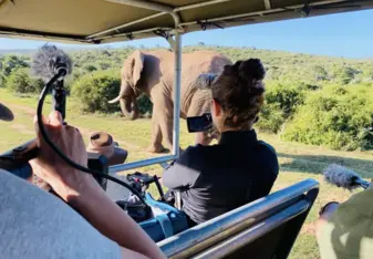 Filming Elephants
