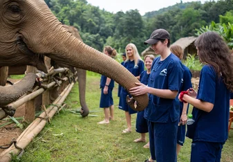 Volunteer in Elephant Conservation