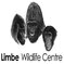 Limbe Wildlife Centre Logo