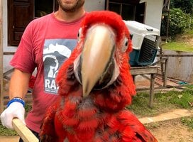 Our former volunteer Jonathan working with Bar