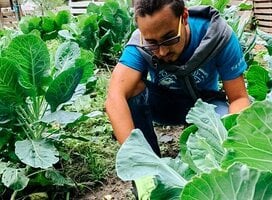 OWC: Growing organic produce that is accessible to people in need