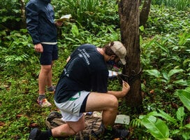 Setting up a camera trap