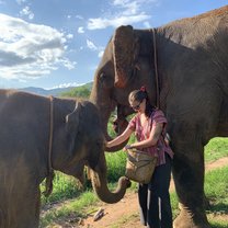 Happy Elephant Home Sanctuary