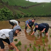 Helping locals plant rice fields!