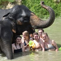 Elephant sanctuary - weekend trip away
