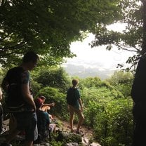 Some of Grace's friends looking out through greenery and leaves at the view of the mountain halfway up during her hike