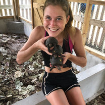 Three baby Giant Tortoises on one of our surveys tagging, weighing, and assessing their health.