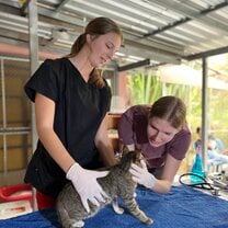 During our companion animal course, we went to a local cat rescue to practice physical exams on their recent intakes.